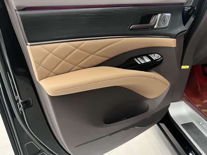 Фото 8 - Denza D9