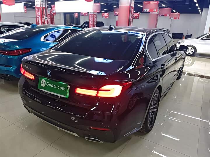 Фото 7 - BMW 5 Series Hybrid