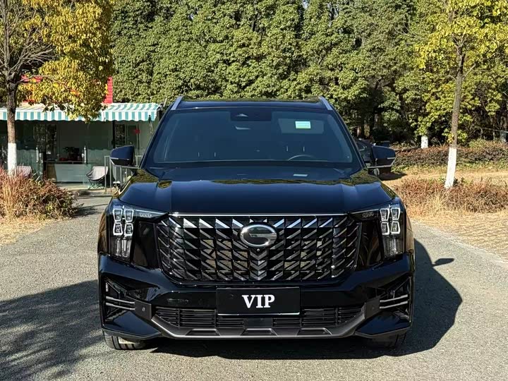 Фото 2 - GAC Trumpchi GS8