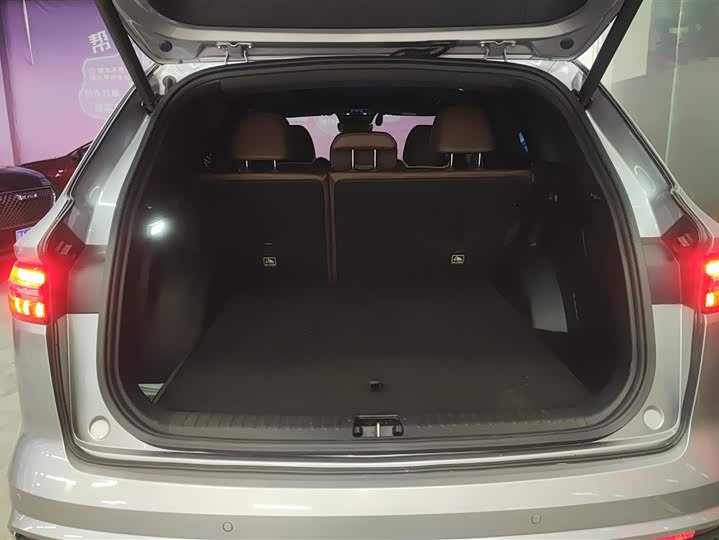 Фото 4 - Geely Monjaro