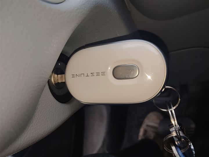 Фото 9 - Bestune Pony