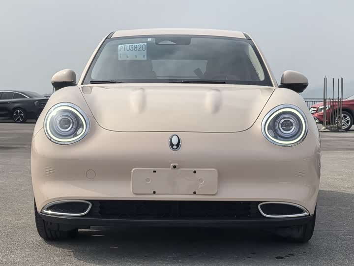 Фото 2 - Ora Good Cat (03)