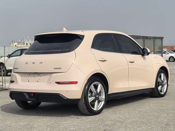 Фото 4 - Ora Good Cat (03)