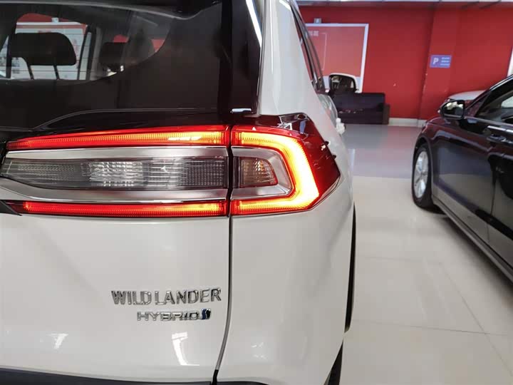 Фото 8 - Toyota Wildlander