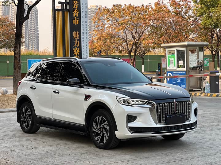 Фото 3 - Hongqi HS5