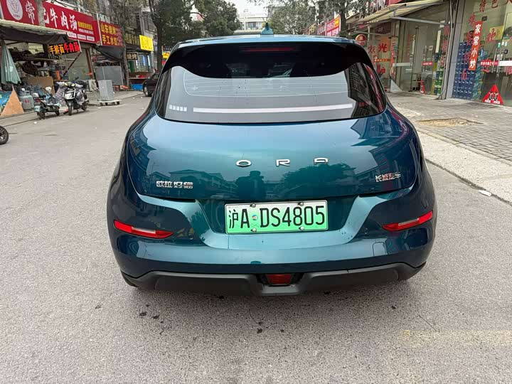 Фото 4 - Ora Good Cat (03)