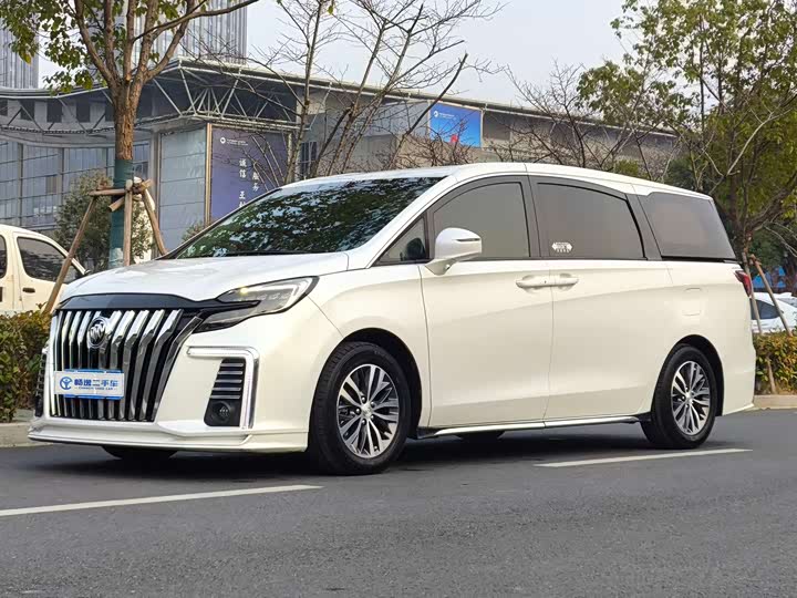 Фото 1 - Buick GL8 ES