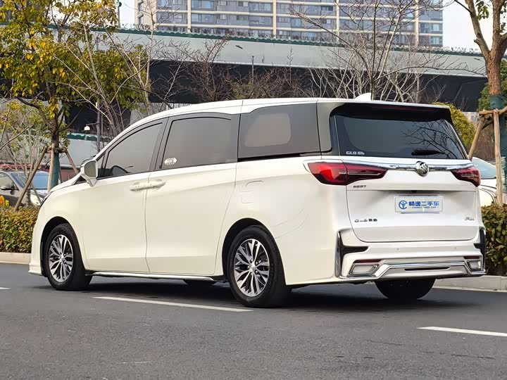 Фото 4 - Buick GL8 ES