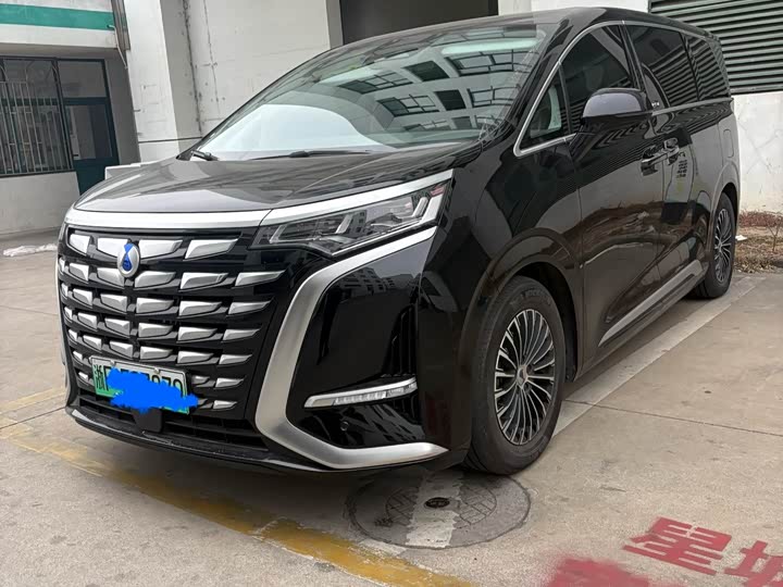 Фото 1 - Denza D9