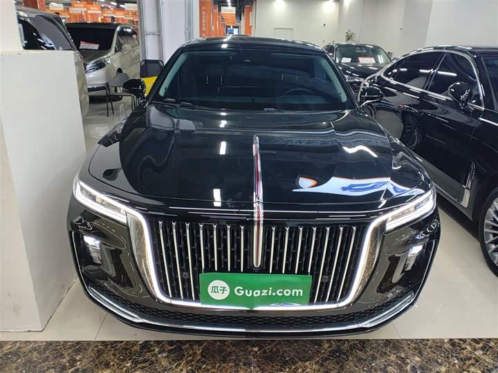 Фото 3 - Hongqi H9