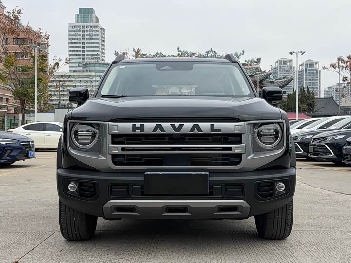 Фото 2 - Haval Dargo