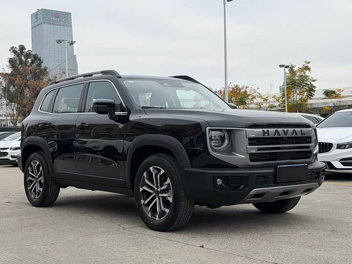 Фото 3 - Haval Dargo