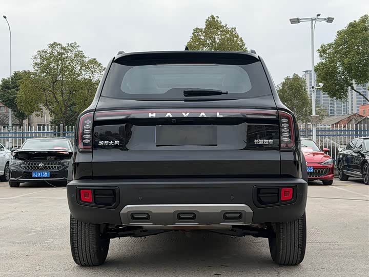 Фото 5 - Haval Dargo