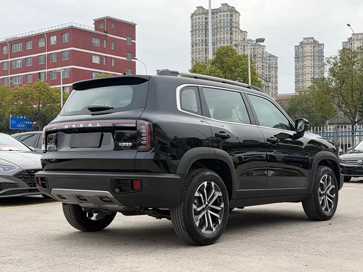 Фото 6 - Haval Dargo