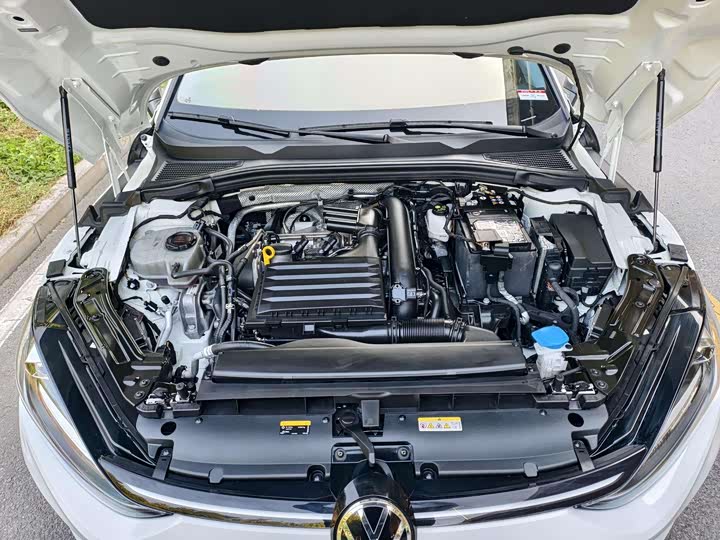 Фото 9 - Volkswagen Lamando L