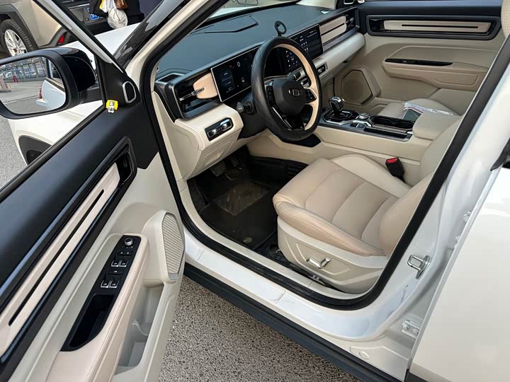 Фото 6 - Geely Icon