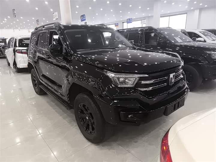 Фото 4 - Tank 400 Hybrid