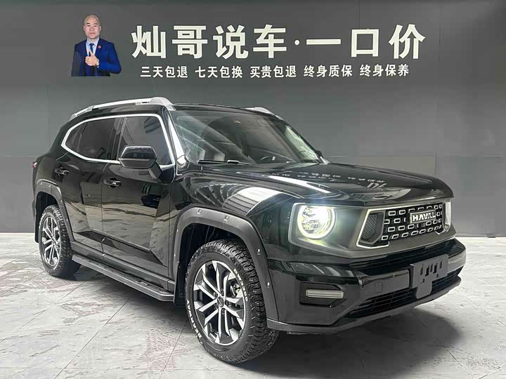 Фото 2 - Haval H-Dog