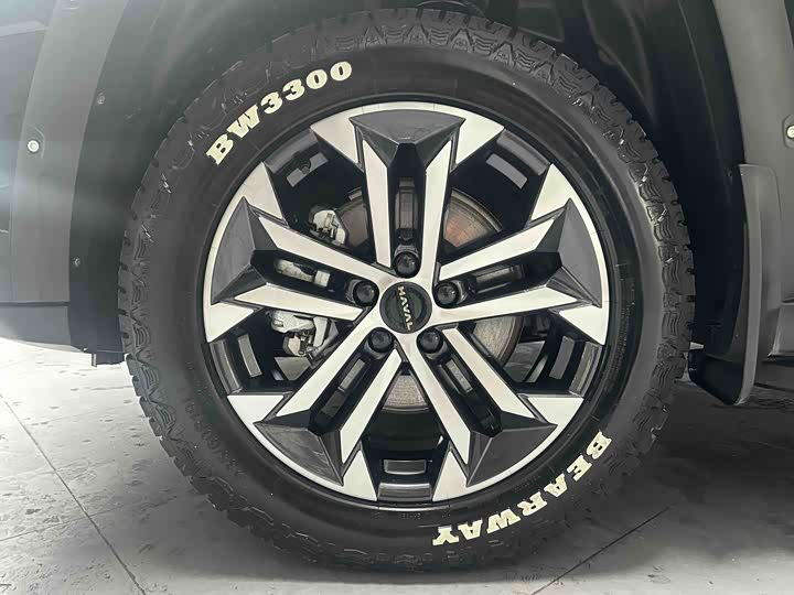 Фото 5 - Haval H-Dog