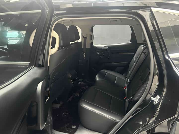 Фото 8 - Haval H-Dog