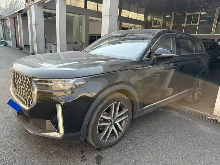 Фото 1 - Bestune T99