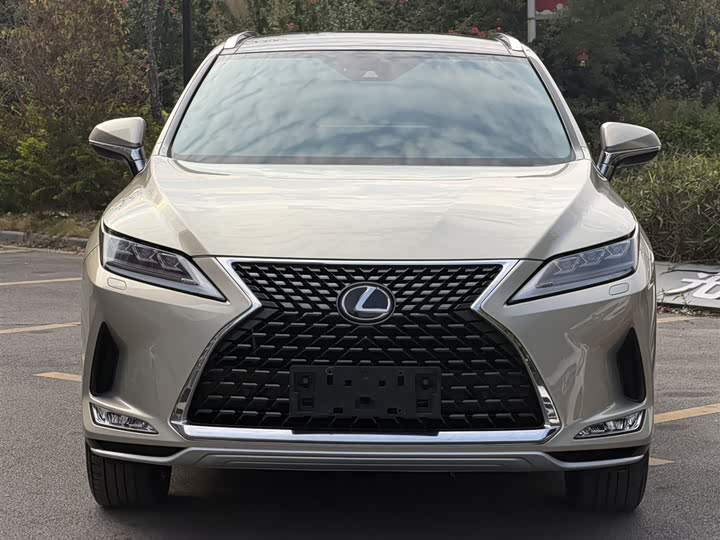 Фото 2 - Lexus RX