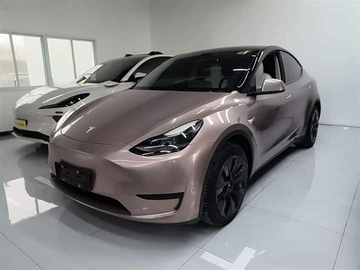 Фото 1 - Tesla Model Y