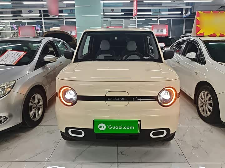 Фото 3 - Geely Galaxy Panda Mini