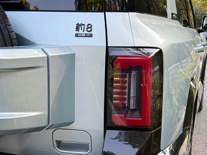 Фото 8 - BYD FangChengBao Leopard 8