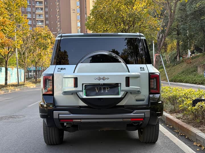 Фото 9 - BYD FangChengBao Leopard 8