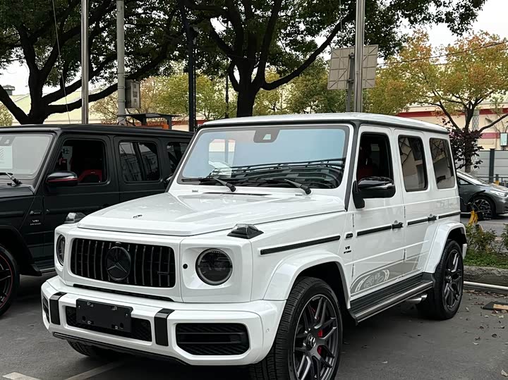 Фото 4 - Mercedes-Benz G-Class
