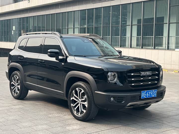 Фото 3 - Haval Dargo
