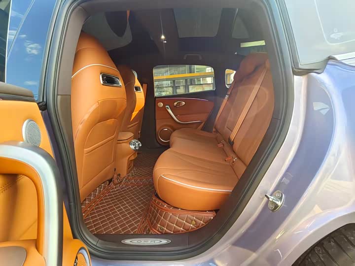 Фото 6 - Ora Lightning Cat (07)