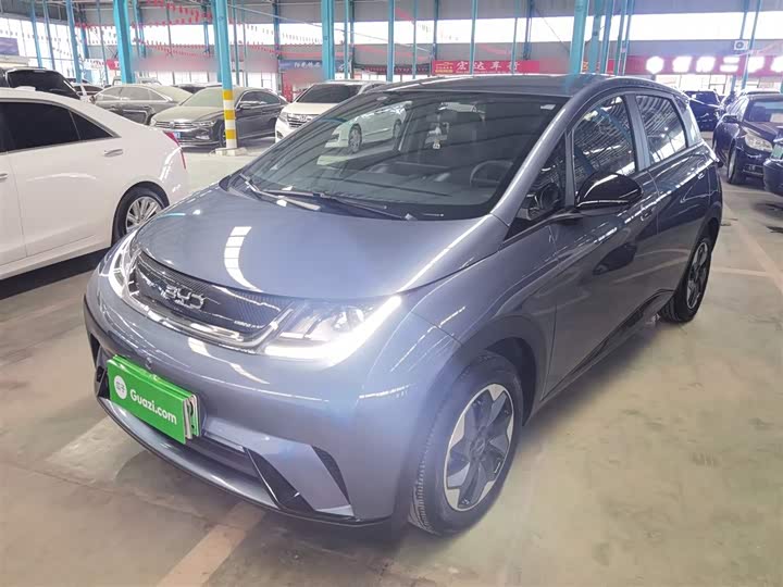 Фото 1 - BYD Dolphin