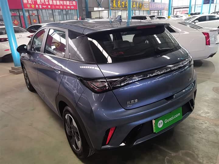 Фото 4 - BYD Dolphin