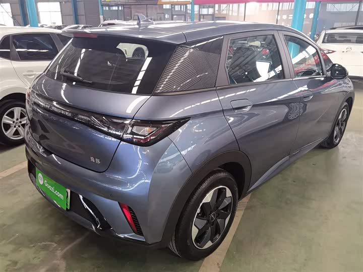 Фото 6 - BYD Dolphin