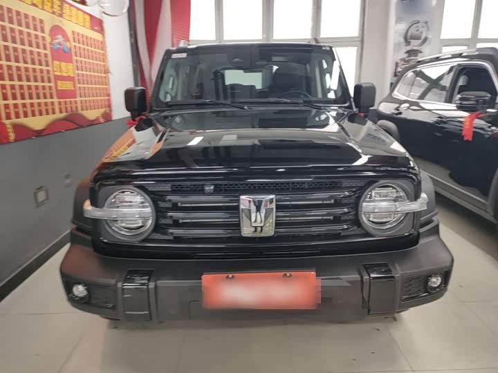 Фото 3 - Tank 300