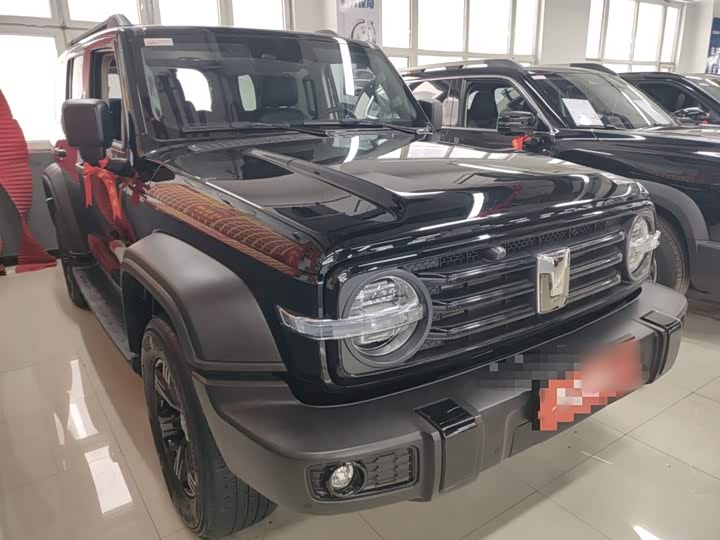 Фото 4 - Tank 300