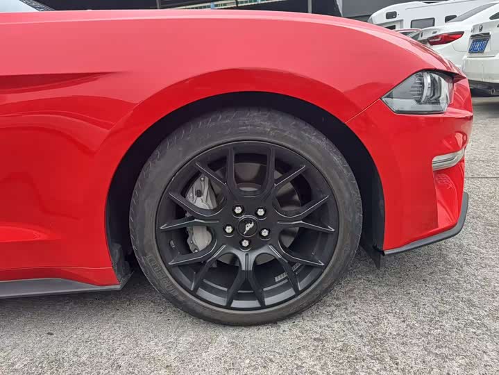 Фото 8 - Ford Mustang