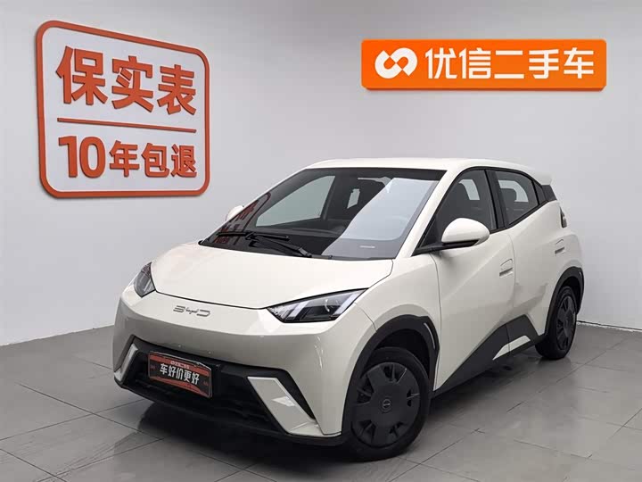 Фото 1 - BYD Seagull