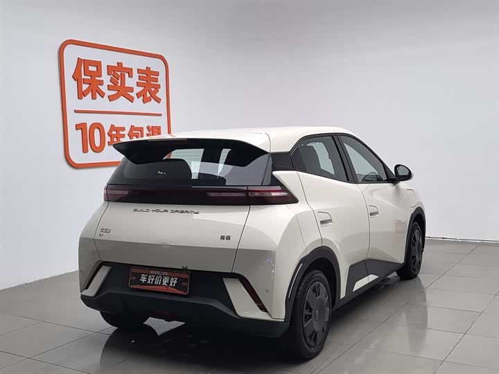 Фото 2 - BYD Seagull