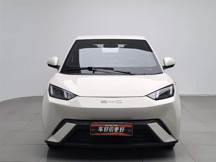 Фото 3 - BYD Seagull