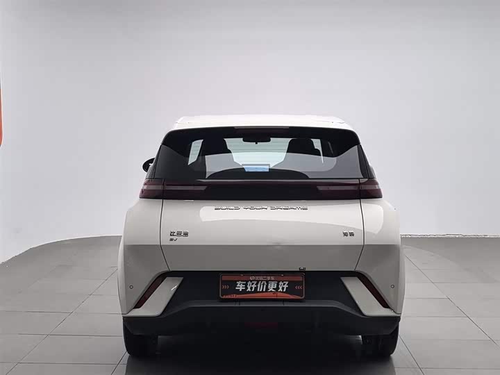 Фото 4 - BYD Seagull