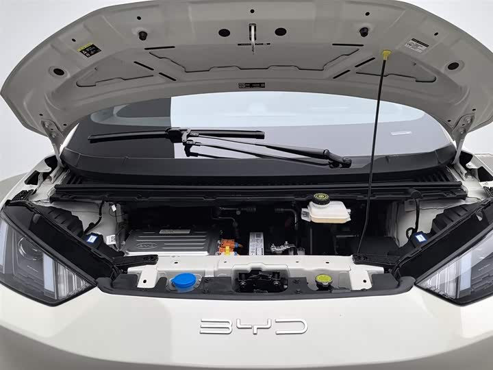 Фото 6 - BYD Seagull