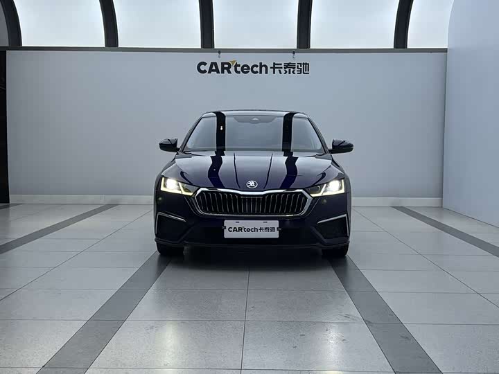 Фото 2 - Skoda Octavia Pro