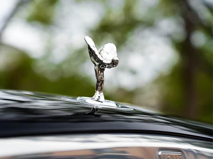 Фото 4 - Rolls-Royce Cullinan