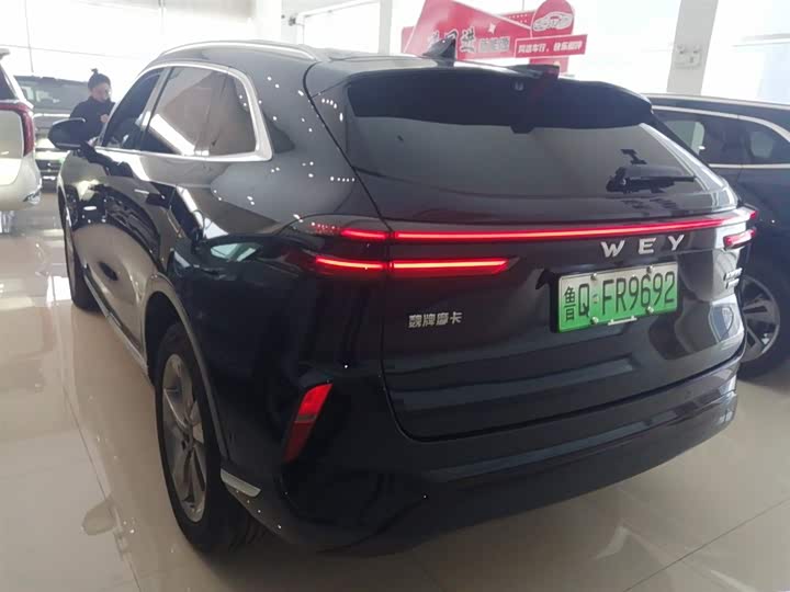 Фото 5 - Wey Mocca Hybrid