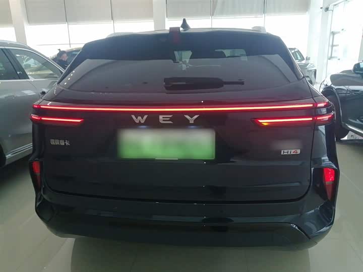 Фото 6 - Wey Mocca Hybrid