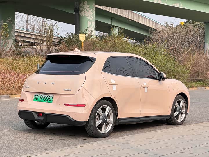 Фото 5 - Ora Good Cat (03)