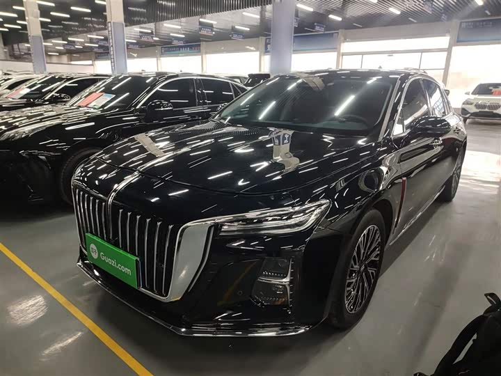 Фото 2 - Hongqi H5